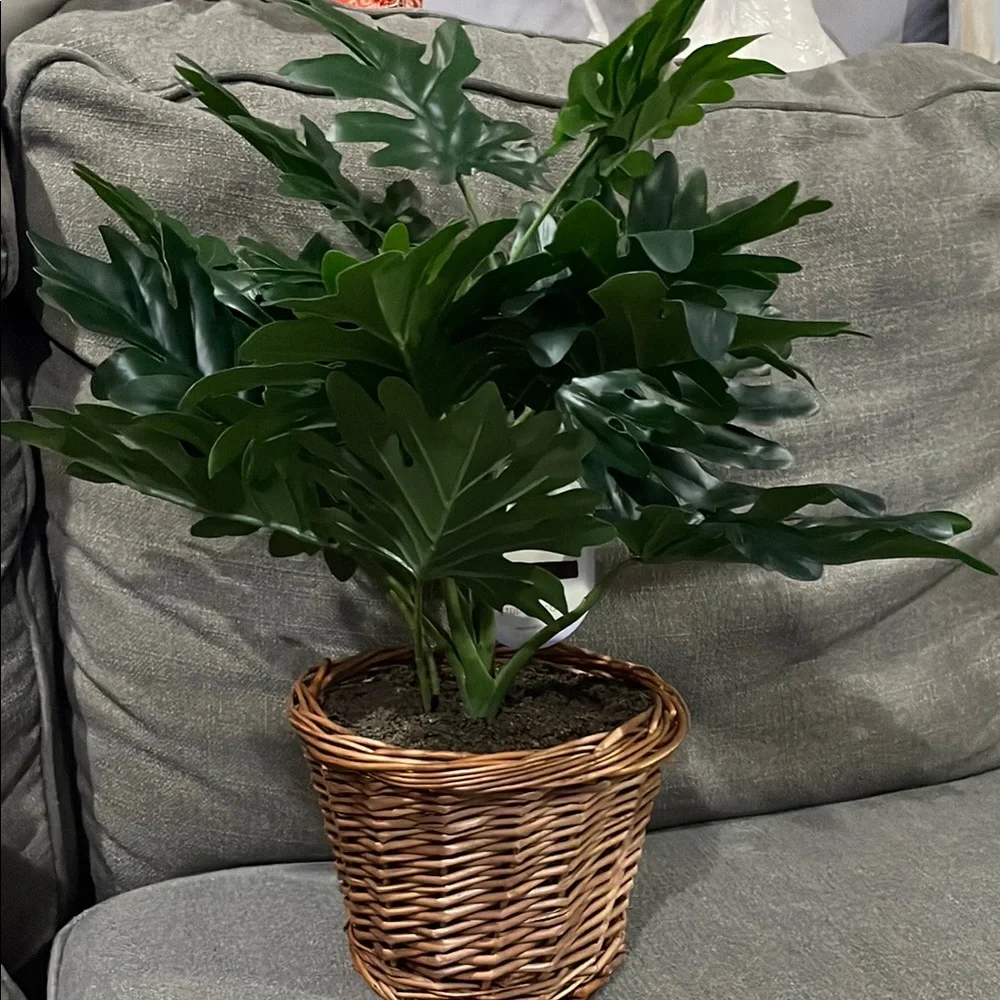Studio McGee Threshold Target Green Philodendron Faux plant in Basket